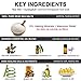 Asutra Premium Therapeutic Foot Soak, Tea Tree and Eucalyptus Scent, 100% Pure Dead Sea Salt, Skin-Healing Nutrients, Organic Essential Oils, Combats Feet Conditions, Free Pedicure Pumice Stone, 16 Oz