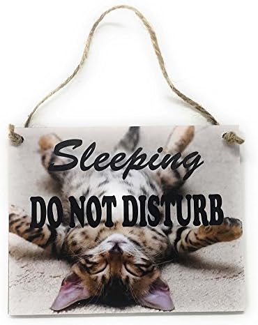 tiggersmall Sleeping Do Not Disturb with Sleeping Cat Kitten 4" x 5" Wood Wall Door Hanger