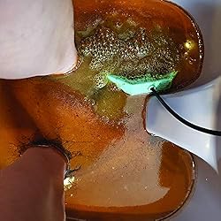 Cell Spa, Dual Ionic Ion Detox Aqua Foot Spa Chi