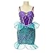 Disney Princess Friendship Adventures Ariel Dress
