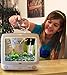 Luffy 8 Marimo Moss Balls - Jumbo Pack of Aesthetically Beautiful Plants - Create Healthy Surroundings - Low-Maintenance Live Play Balls - Shrimps & Snails Love Them