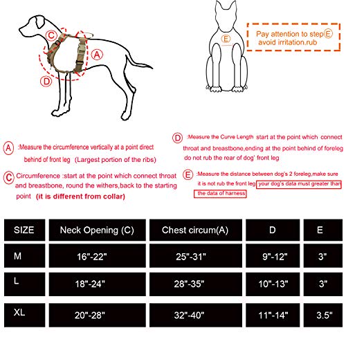 5 point dog harness