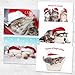 Christmas Cats Holiday Card Assortment Pack / 25 Seasonal Kitten Greeting Cards And Envelopes / 5 Sleeping Santa Animal Designs And Christmas Messages