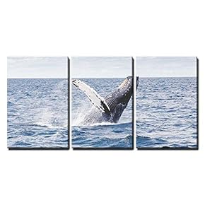 3 Piece Canvas Wall Art - Jumping Whale - Modern Home Art Stretched and Framed Ready to Hang - 16"x24"x3 Panels