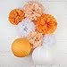 SUNBEAUTY Pack of 8 3 Colors Tissue Paper Flowers Tissue Paper Pom Poms, Wedding Decor, Pom Poms Flowers, Paper Lantern, Pom Poms Craft,Party Decoration (Orange-1)