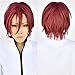 Flovex Short Straight Dark Red Anime Cosplay Wig Fluffy Unisex Natural Party Daily Hair