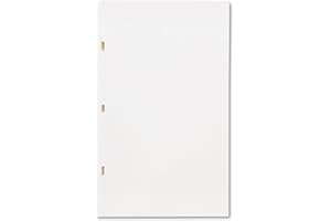 Wilson Jones Looseleaf Minute Book Ledger Paper, 3-Hole Punched, Ivory Linen, 14" x 8-1/2", 100 Sheets/Box, W901-30