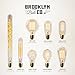 Set of 4 Cobble Hill T9 Vintage Filament 40W (E26) Bulbs