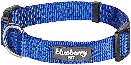 Blueberry Pet Necessities 30+ Colours Basic Strong Colour Assortment – Customized Collar Tags, Common & Martingale Collars