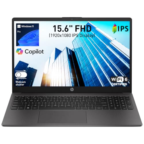 HP 255 G10 Business Laptop