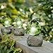 Garden Decor Statue Frogs Set of 3 Outdoor Patio Ornaments Yard Decorations Art Figurines for The Lawn Balcony Desk Best Gift