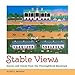 Stable Views: Stories and Voices from the Thoroughbred Racetrack (Folklore Studies in a Multicultura by 