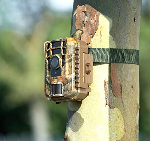 VisorTech Wildcam: Full-HD-Wildkamera, PIR-Bewegungssensor, Nachtsicht, Farbdisplay, IP65 (Wildtierkamera mit… – Bild 5