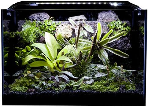 Paludart パルダート 観賞用パルダリウム P 45 水槽 45cm Clorela Com Mx