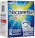 Nicorette OTC Stop Smoking Nicotine Gum, 2mg-White Ice Mint-160 ct. (Quantity of 1)