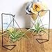 Mkono Air Plant Stand Holder Metal Airplant Tillandsia Hanger Tabletop Planter