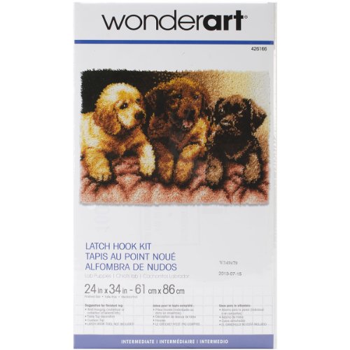 Wonderart Latch Hook Kit 24