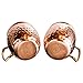 Mule of Moscow Copper Mug Gift Set Includes 2 Coasters and 2x 18oz Mugs, Wood Tray and Wooden Box Kit. Great Gifts for Men and Women