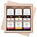 Plant Therapy KidSafe Feelin' Good Essential Oil Blend Set, Includes: Germ Destroyer, Immune Boom, Sniffle Stopper 100% Pure, Undiluted, Natural Aromatherapy 10 mL (1/3 oz)