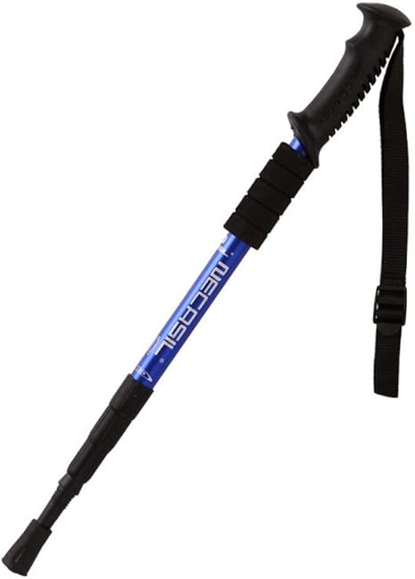 Collapsible cane pole Clearance