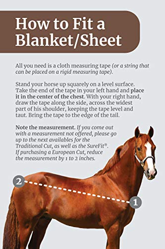 2 Kensington+Platinum+SureFit+Protective+Horses