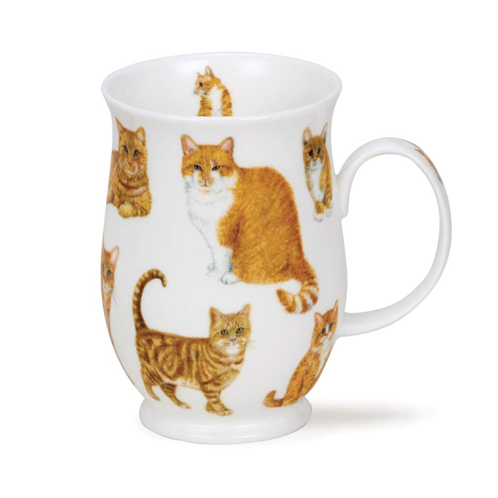 SU-Cats-GI Ginger Cats Staffordshire Fine Bone China Mug - Suffolk Shape 0.31l