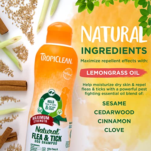 TropiClean Maximum Strength Natural Flea and Tick Dog Shampoo for Flea