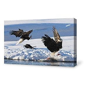 SIGNFORD Canvas Wall Art for Living Room,Bedroom Home...