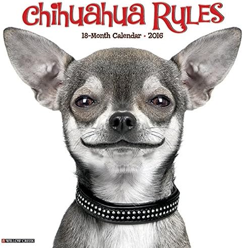 2016 Chihuahua Rules Wall Calendar