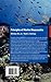 Principles of Marine Bioacoustics (Modern Acoustics and Signal Processing)