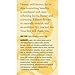 Burt's Bees Honey & Bilberry Foot Cream, 4 Oz (Package May Vary)