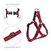 Beker Dog Leash Harness Collar Set,Durable Nylon Braided Leash No Pulling Adjustable Harness Soft Padded Collar for Small Dog/Puppy/Cat Red-Black(Pack of 3)