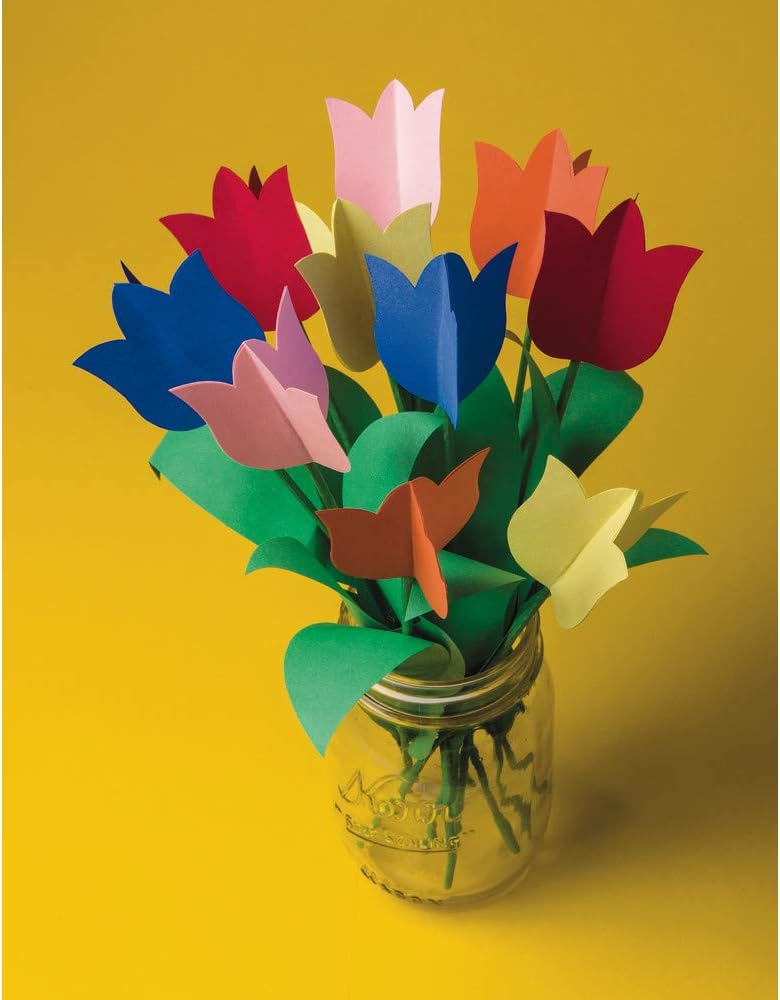 Tru-Ray Construction Paper, 10 Classic Colors, 9" x 12", 50 Sheets : Office Products