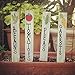 Woodman Crafts Paint Sticks - 12