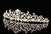 Flower Vine Design Bridal Tiara Crown - Clear Crystals Gold Plating T710