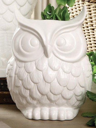 Amazon Com Home Decorators Collection Owl Vase Wide White Home