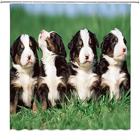 Amazon Qdylm 子犬シャワーカーテン草犬愛好家のかわいいペット動物浴室カーテン装飾防水71 X 71インチ12プラスチックフックを含む防水生地 シャワーカーテン ホーム キッチン オンライン通販