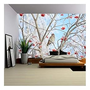 Bird Waxwing Sitting Among The Rowan in The Frost - Removable Wall Mural | Self-Adhesive Large Wallpaper - 66x96 inches