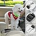 YuCool Dog Seat Belt,4 Piece Set Dog Car Adjustable Seatbelts for Vehicle Nylon Pet Safety Heavy Duty & Elastic Car Harness for Dogs