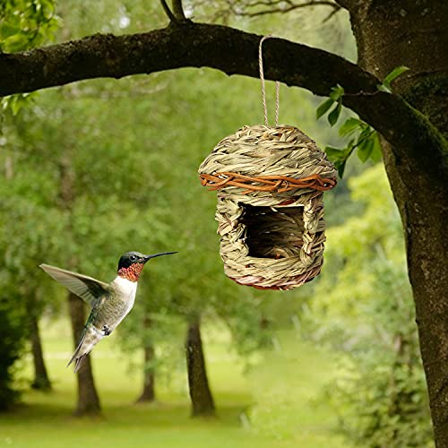 Casetta Per Uccelli In Legno - Nido Decorativo Da Giardino Con Design Naturale - Foto 5