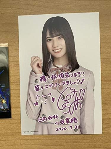 Amazon Co Jp 日向坂46 22人の音楽隊と風変わりな仲間たち ファンクラブ特典 小坂菜緒 ホビー 通販