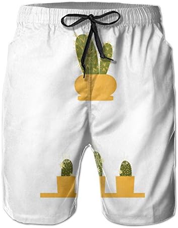 MBSP Cute Cactus Palnts Men's Beach Shorts Quick Dry Swim Shorts Casual Board Shorts