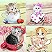 Yomiie 4 Pack 5D Diamond Painting Cat Full Drill by Number Kits, Colorful Flower Kittens DIY Paint with Diamonds Arts Cats in The Cup Rhinestone Embroidery Craft for Home Room Decoration (12x12 inch)