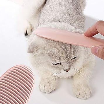 Peigne Brosse Langue De Chat Brosse Pour Massage Chat Brosse Chat Lecher Brosse Toilettage Pour Poils Longs Ou Courts Animaux Peigne Poil Chat Lavable Sur Durable Forme De La Langue Plastique Rose Amazon Fr Animalerie