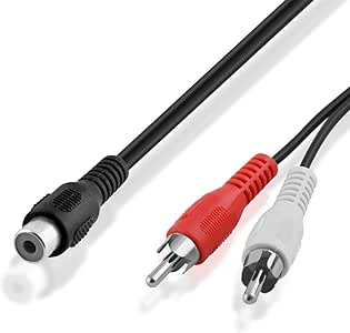 conector audio rojo blanco