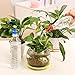 Coolrunner Bottle Cap Sprinkler PVC Plastic Watering GB 28mm Caliber Little Nozzle Sprinkler Head Watering Vegetables Mist Nozzle (3)