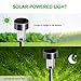 Stripsun LED Solar Garden Lights, [12 Pack] Stainless Steel Outdoor Solar Landscape Lights / Pathway Lights for Lawn, Yard, and Driveway