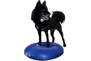 FitPAWS® Dog Balance Disc – 22”, Blue | Dog Exercise Equipment | Workout Tool for Strength, Core, Stability & Rehabilitation