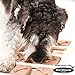 Company of Animals Nina Ottosson Dog Brick Interactive Game