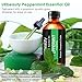 URbeauty Peppermint Essential Oil, 4 Ouce/ 120ml 100% Pure and Natural Peppermint Oil, Steam Distilled Mint Essential Oils for Home & Office, Perfect for Aromatherapy, Diffusion, Spa, Bath